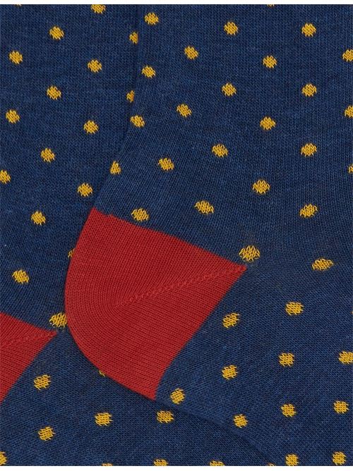 AP10301410737 FANTASIA gallo | AP10301410737 FANTASIA